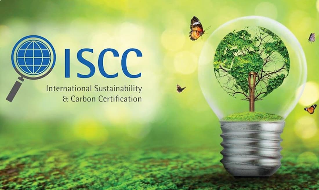 What are Bio-based Materials